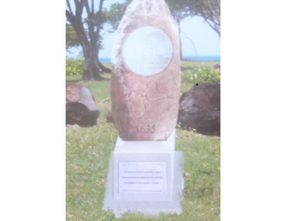 stele rose